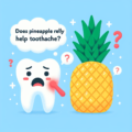 ตำรับสมุนไพรที่เราลืม: วันที่พืชไม่เพียงแค่อาหาร